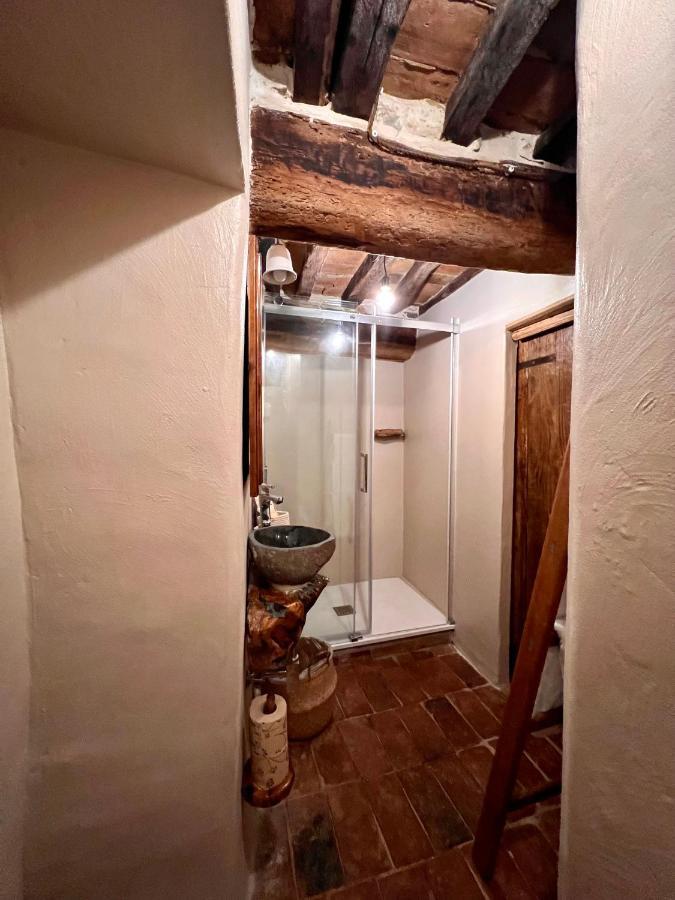 La Casa Del Teatro Apartment Campiglia d'Orcia Bagian luar foto