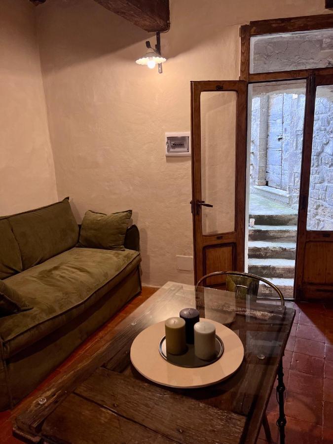 La Casa Del Teatro Apartment Campiglia d'Orcia Bagian luar foto